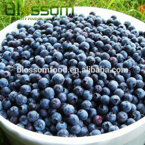frozen blueberry