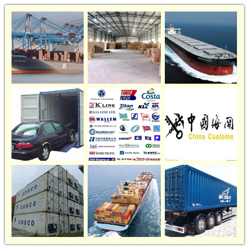 Reliable and Professional Shipping Agent from China to Worldwide