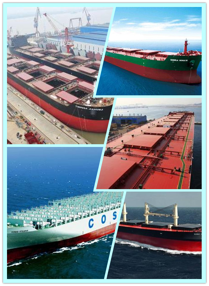 Professional Shipping Services for Special Container from China to Oceania