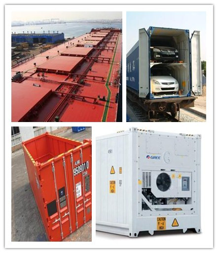 Bulk&Open-top&Reefer&Car Container Shipping Services from China to South America