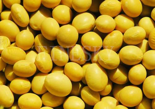 Soybean extract powder health care product