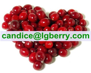 Cranberry extract OPCs 