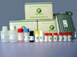 Lincomycin ELISA Test Kit