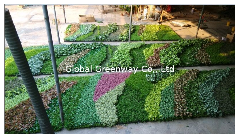 GGW-GW-Project室内外项目装饰仿真植物墙