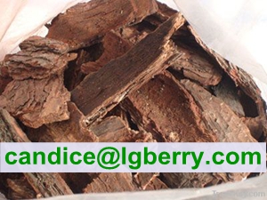 Formulation Supplement OPC 95% of Pine Bark Extract Powder 