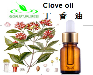 Clove essential oil,Clove oil