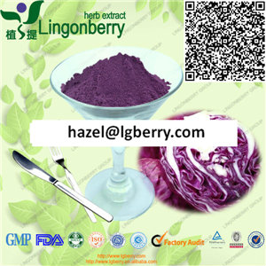 Red cabbage extract /anthocyanin