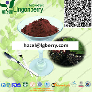 black cherry extract powder
