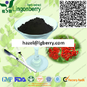 Elderberry fruit powder