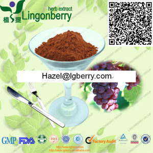 Grape Seed Extract OPC( Proanthocyanidins )