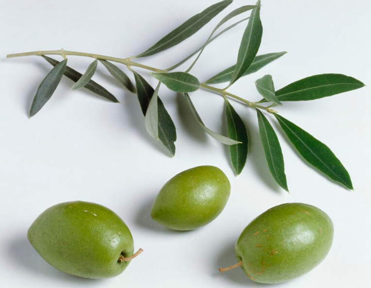 Finesky оливковое экстракт листьев порошок, функциональные добавки