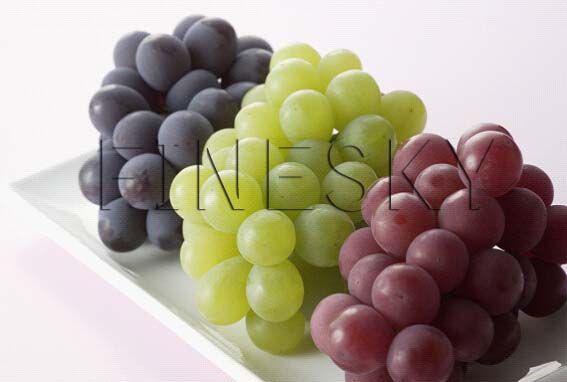 Finesky grape seed extract for healthy aliment for sale