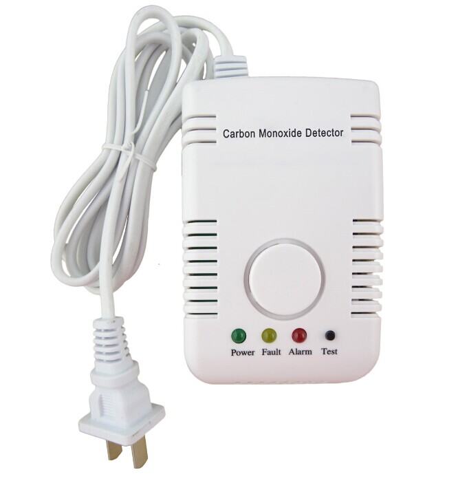 Carbon Monoxide Leak Detector