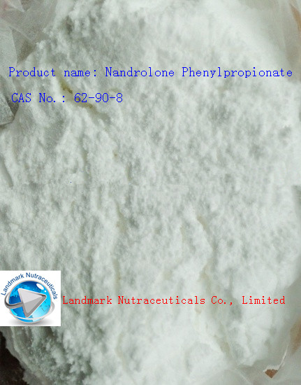 Nandrolone Phenylpropionate   good price