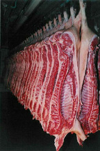 Frozen Pork Breast Bones/ Pork Meat/ Throtters /  Pig Feet/ Hind Legs