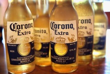 Ginger beer / Carling Beer/ Corona Beer/ Beck's Beer wholesale