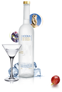 Premium Vodka from Grape Spirit