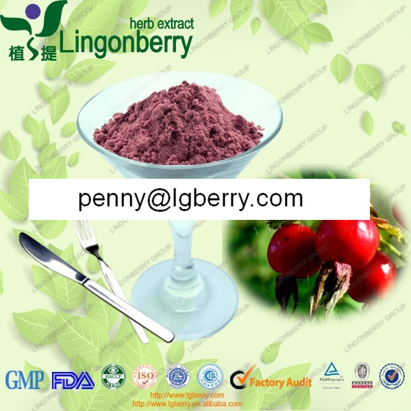 Rose Hip Extract, 5%-50% saponins