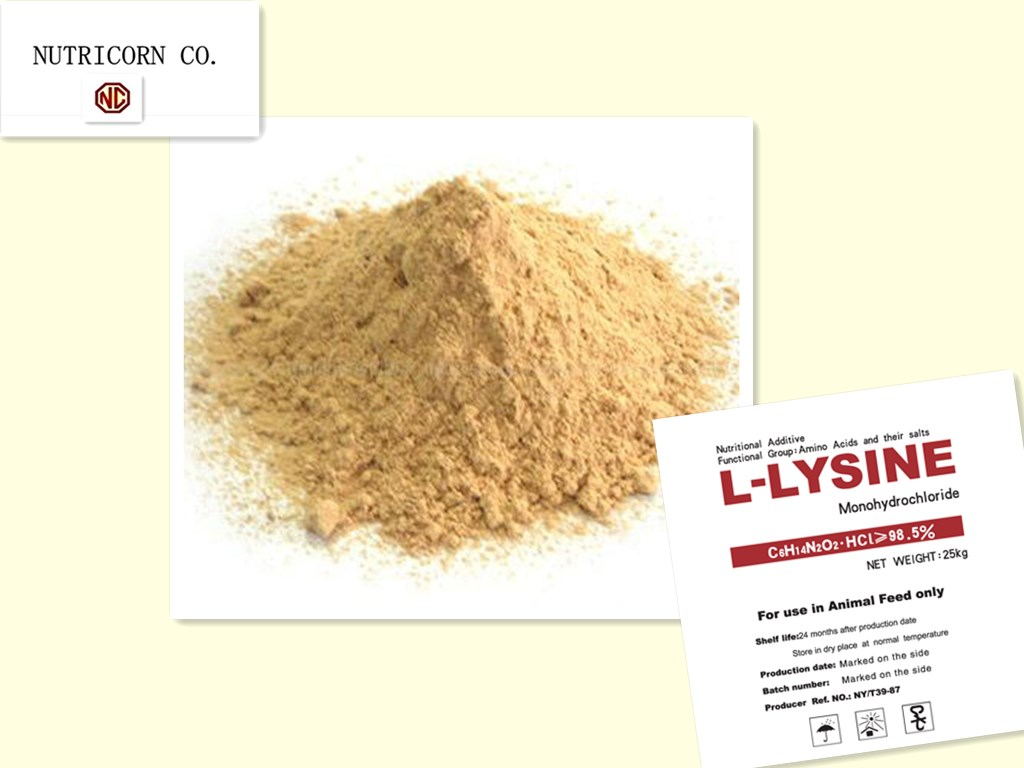 l-lysine hcl 98.5%
