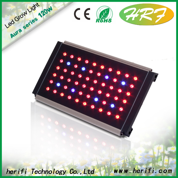 Herifi 60x3w AU001 LED hydroponic full spectrum grow lamp/light