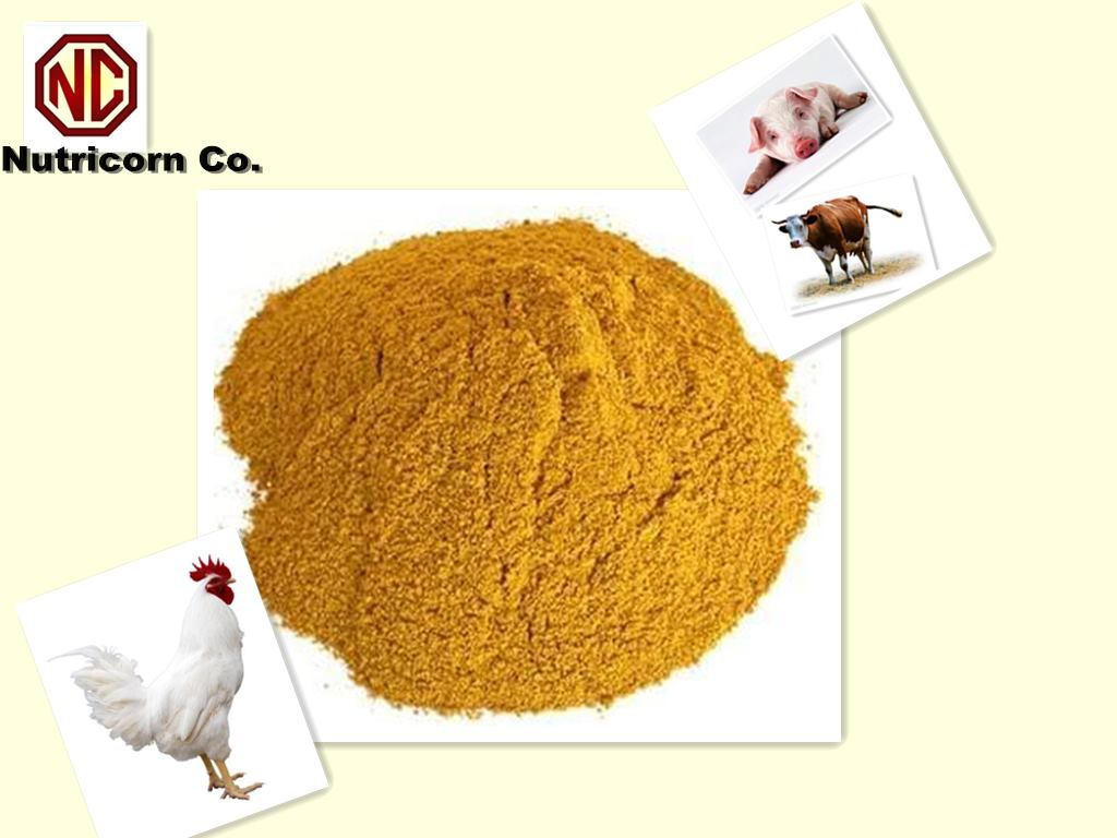 animal feed additives corn gluten meal