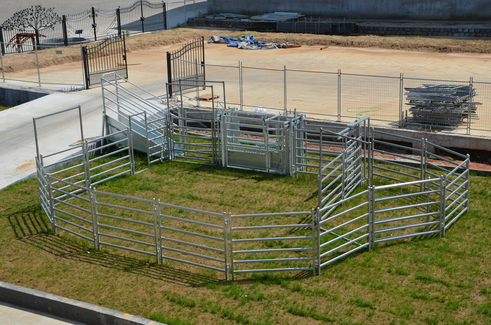 hot dipped galvanised oval cattle panel for Australia 
