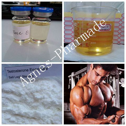 Pre-made Testosterone Enanthate 250mg/ml Legal Injectable Steroids Test E Oil
