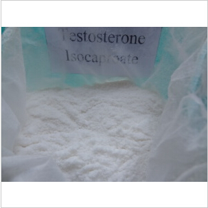 Testosterone Isocaproate (Steroids) CAS NO.: 15262-86-9 　