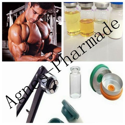 Test Blend 450 mg/ ml Mixed Anabolic Injections From Agnes Pharmade