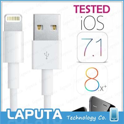 iPhone 6 Data Cable