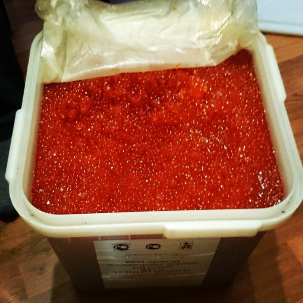 Red caviar in bulk Putin 2015