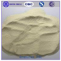 Polyanionic Cellulose Granules PAC