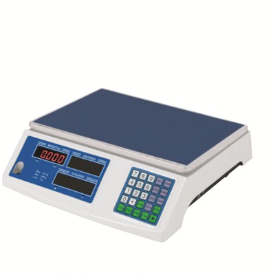 Electronic Digital Scale TS-803