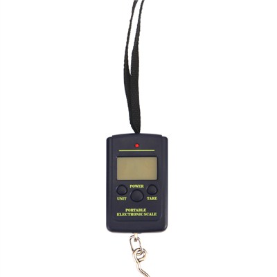 Electronic Weigh Scale TS-T09