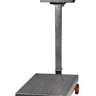 500kg Weight Platform Scale TS-832