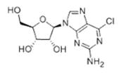 6-Chloroguanosine/2004-07-1