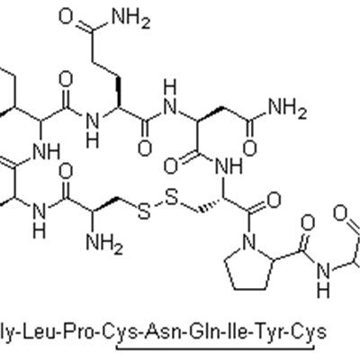 Окситоцин 50-56-6