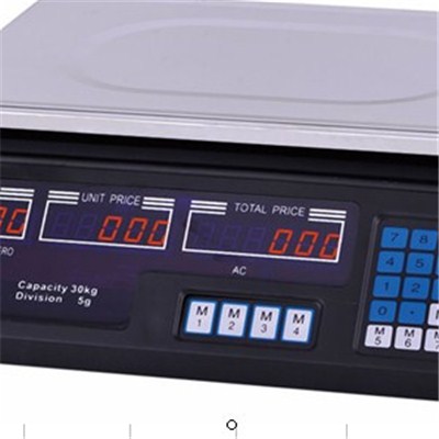 Electronic Acs Scale TS-601
