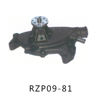RZP09-81