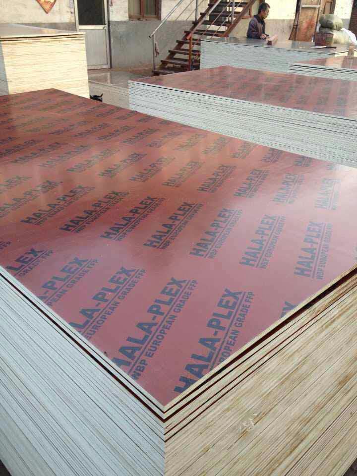 waterproof brown with logo concrete formwork film faced plywood