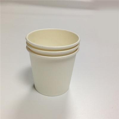 Mini Paper Cups