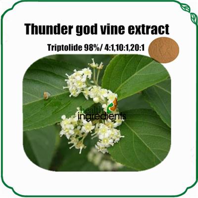 Thunder God Vine Extract