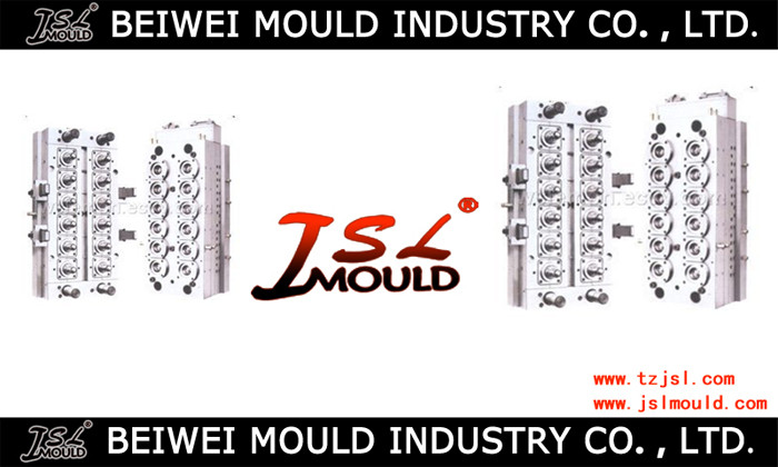 TaiZhou BeiWei Mould Industry Co., Ltd is called JSL Mould. We JSL Mould is the leading plastic mould manufacturer in China for over 10 years. Based on the precision tooling, high technology and top m