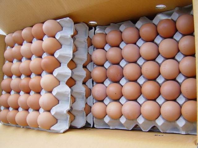 Fresh eggs ( BROWN AND WHITE)