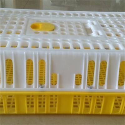 Chicken Cage Mould