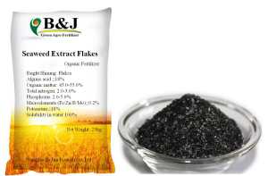 Seasweed Extract Flakes