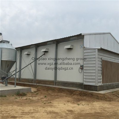 Commercial Chicken House