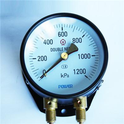 100mm Steel And Brass Material Bottom Type With Flange Double Needle Pressure Train Gauge