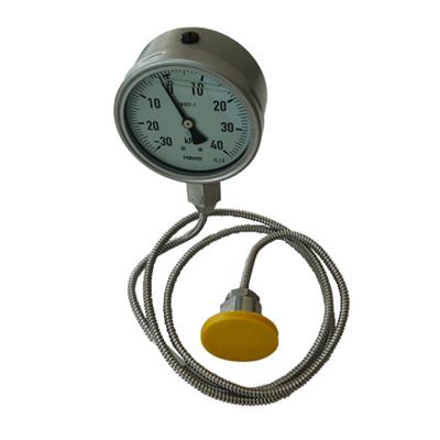 4 Inch 100mm Diameter Capillary Diaphragm Pressure Gauge For Corrosion Proof Could Customize Dial