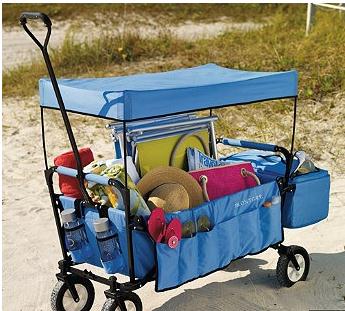 Folding Wagon With Canopy